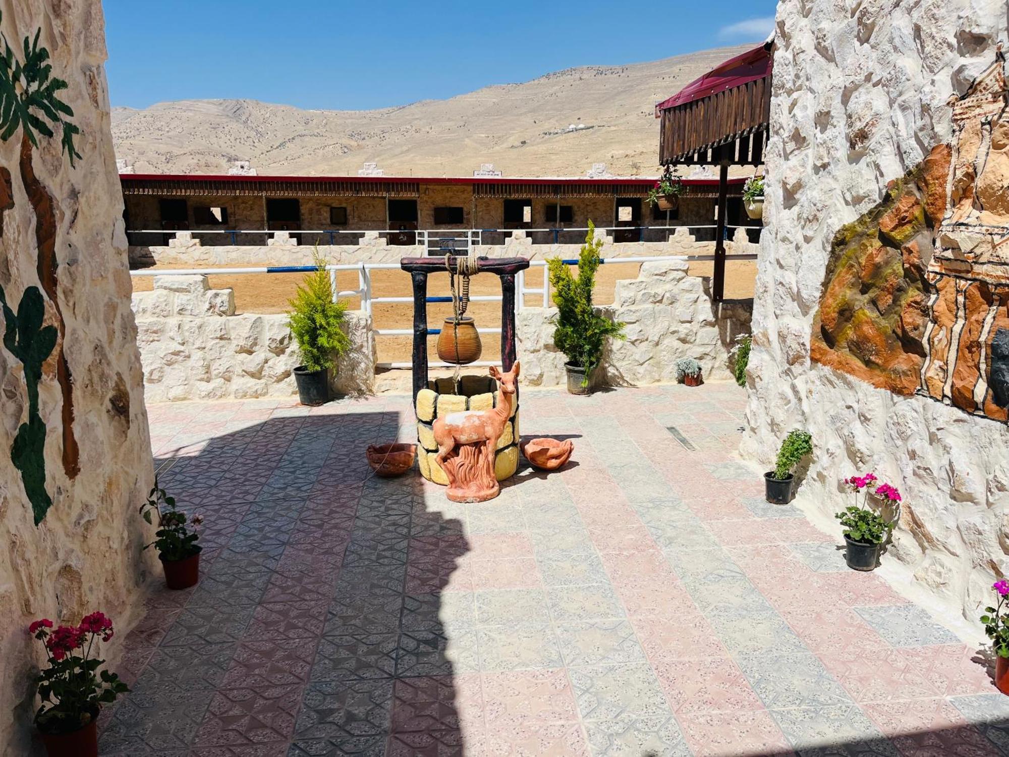 לינה וארוחת בוקר וואדי מוסא Petra Royal Ranch מראה חיצוני תמונה