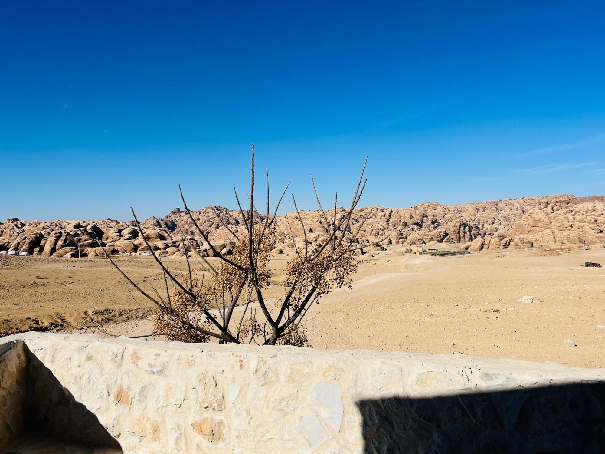 לינה וארוחת בוקר וואדי מוסא Petra Royal Ranch מראה חיצוני תמונה