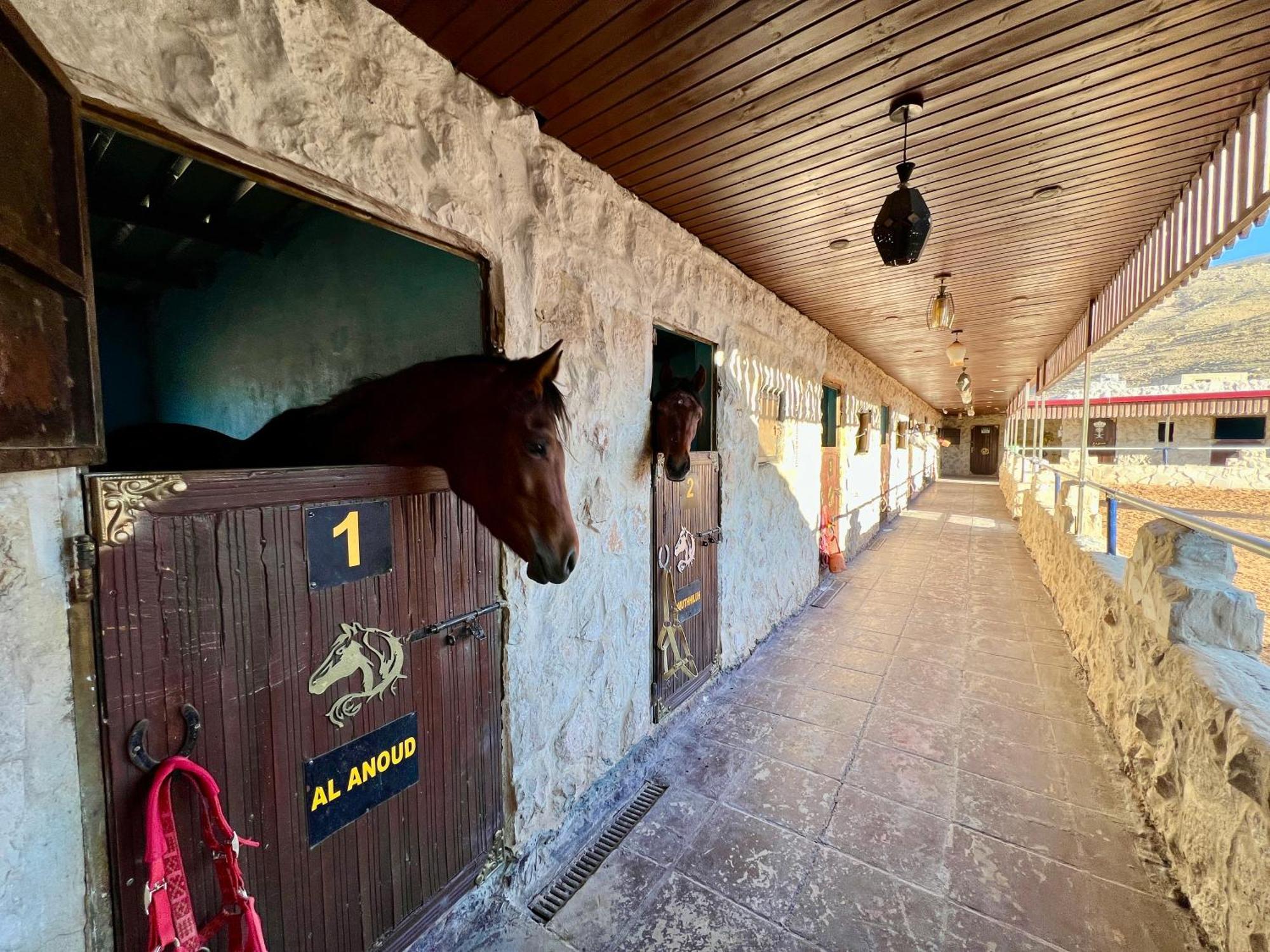 לינה וארוחת בוקר וואדי מוסא Petra Royal Ranch מראה חיצוני תמונה